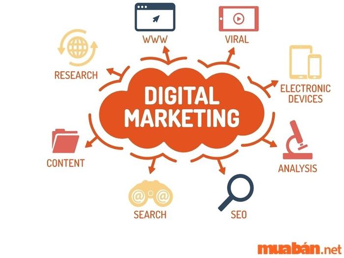 Digital marketing giúp bạn trang bị nhiều kiến thức quan trọng trong lĩnh vực tiếp thị trực tuyến, từ đó nâng cao khả năng của bạn trong việc xây dựng chiến lược quảng cáo hiệu quả.