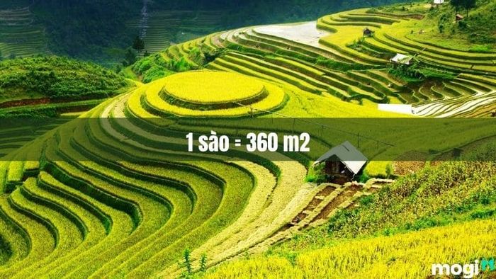 1 sào ở Bắc Bộ tương đương với 360 m2