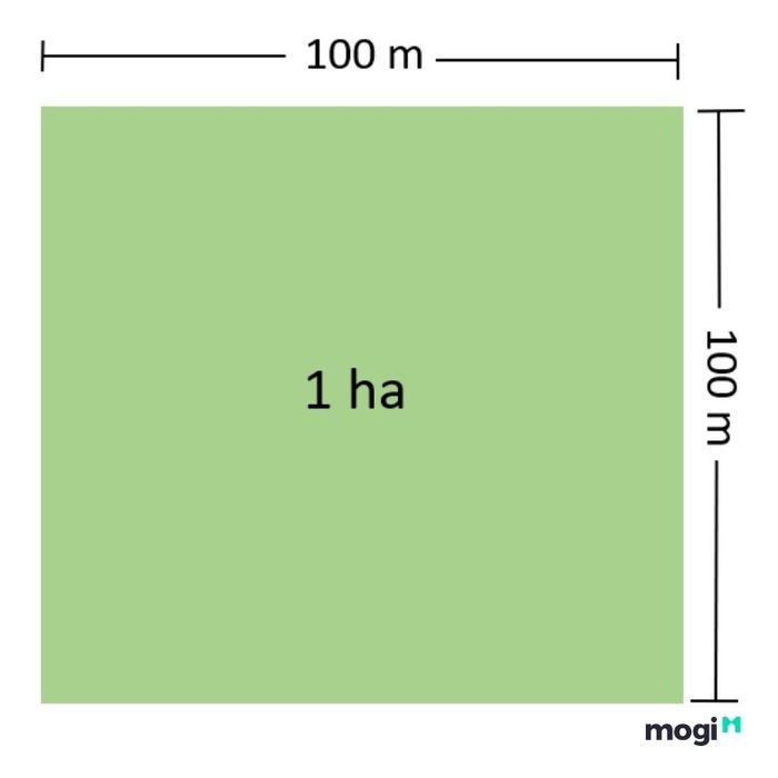 Mô tả diện tích của 1 ha
