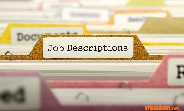 Job Title
