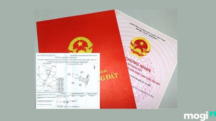 Lộ giới là gì?