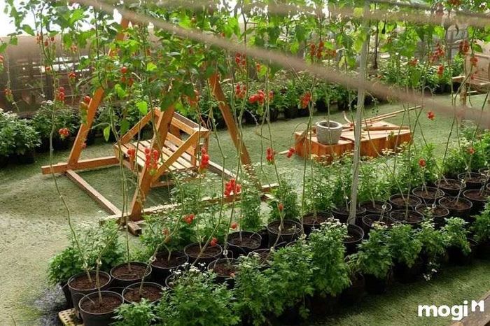 Điểm đến du lịch Đà Lạt với mô hình nông nghiệp xanh đầy sáng tạo và gần gũi với thiên nhiên