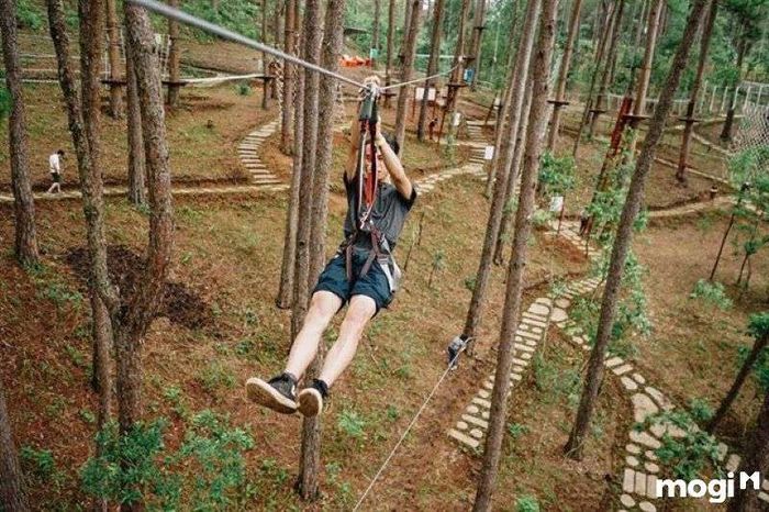Datanla High Rope Course – điểm đến lý tưởng cho những ai yêu thích trò chơi mạo hiểm tại Đà Lạt