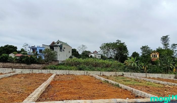 Giai đoạn đầu tiên là nhà đầu tư tìm kiếm khu đất phù hợp với yêu cầu của mình.