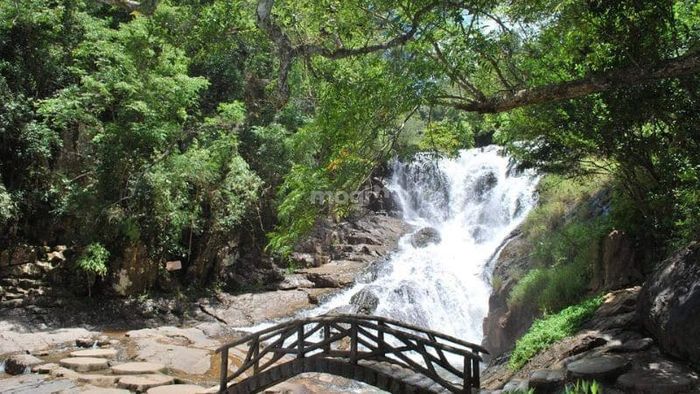Khám phá vẻ đẹp hoang sơ, hùng vĩ của thác Datanla tại Đà Lạt – Nguồn ảnh: Sưu tầm