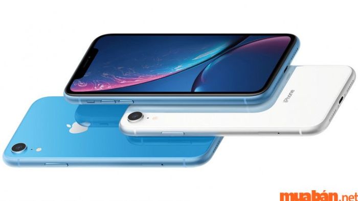 iPhone XR