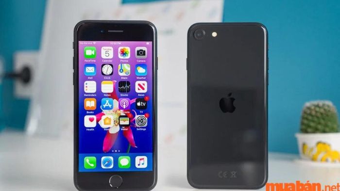 iPhone SE 2020