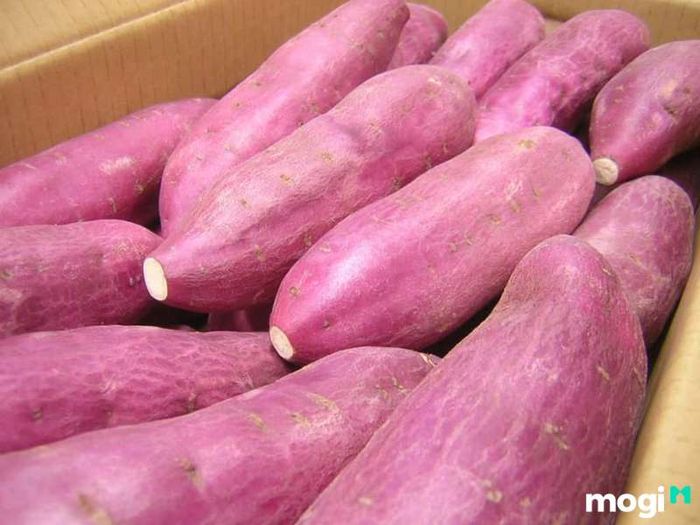 Phương pháp bảo quản khoai lang tươi lâu và giữ được độ ngon