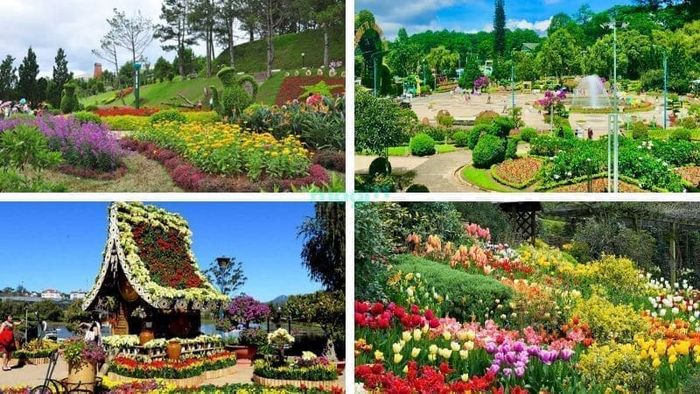 Khám phá vườn hoa thành phố Đà Lạt với những loài hoa độc đáo, lạ mắt – Nguồn ảnh: Sưu tầm