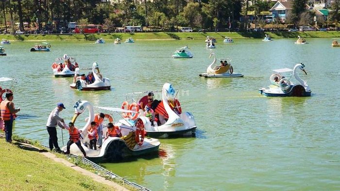 Thư giãn đạp vịt giữa hồ Xuân Hương Đà Lạt, tận hưởng không gian yên bình – Nguồn ảnh: Sưu tầm