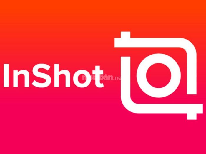 InShot – Giải pháp sáng tạo video và ảnh dễ dàng cho mọi người.