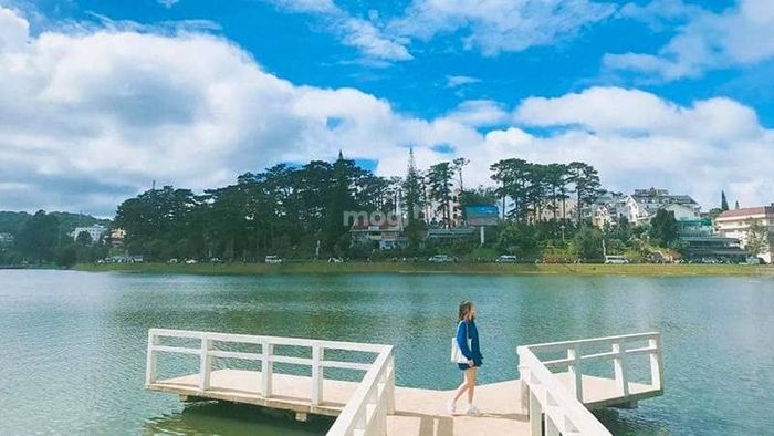 Check-in với những bức ảnh 'sống ảo' cực chất tại hồ Xuân Hương Đà Lạt – Nguồn ảnh: Sưu tầm