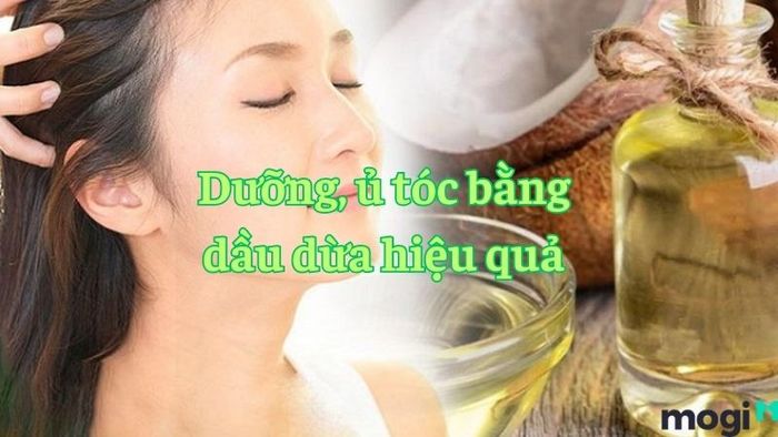 Chăm sóc tóc hiệu quả với dầu dừa