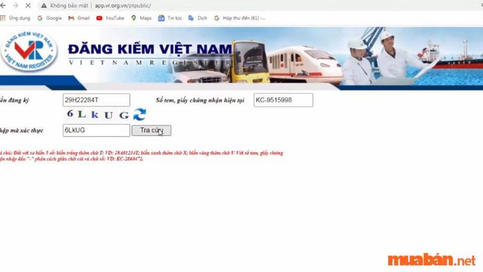 Nhập các thông tin cần thiết vào các ô để tiến hành tra cứu