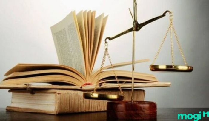 Phân lô bán nền là gì - Hãy chắc chắn kiểm tra đầy đủ tính pháp lý của dự án trước khi quyết định đầu tư.