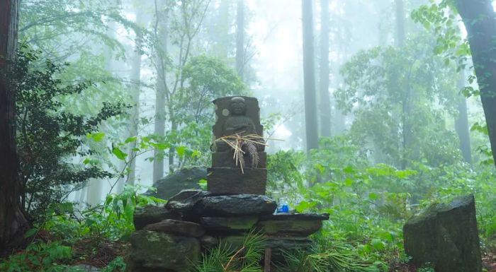 A hike along the Kumano Kodo trail is one of the highlights of visiting Wakayama.