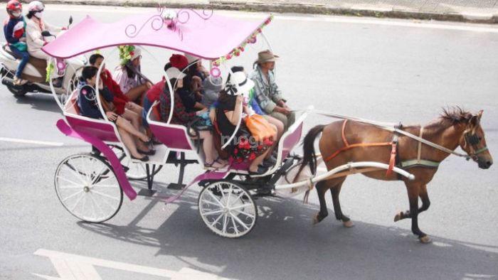 Thưởng ngoạn cảnh sắc hồ Xuân Hương từ trên xe ngựa – Nguồn ảnh: Sưu tầm