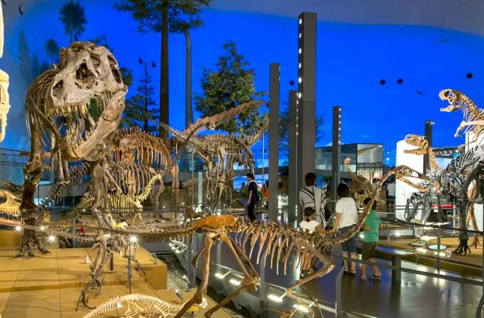 The Fukui Prefectural Dinosaur Museum holds the title of Japan's largest dinosaur museum.