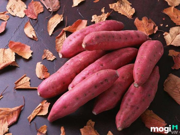 Phương pháp bảo quản khoai lang tươi lâu