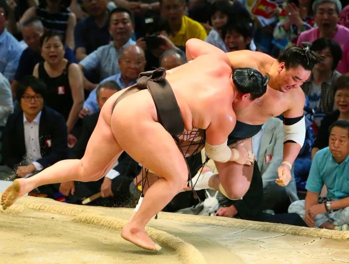 Sumo wrestling has a history that stretches back over 2,000 years.