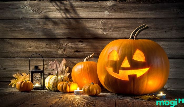 Lễ Halloween diễn ra vào ngày cuối cùng của tháng 10 hằng năm
