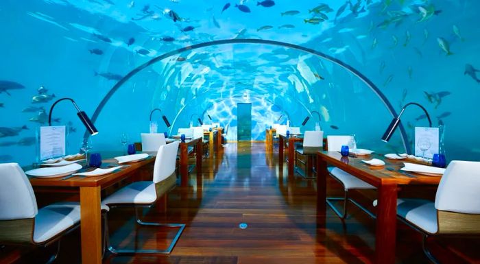 Ithaa made history as the world's first undersea restaurant when it opened its doors in 2005.