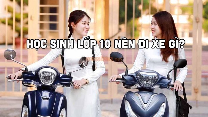 Học sinh lớp 10 nên chọn xe gì? Những lựa chọn xe vừa an toàn vừa phù hợp.