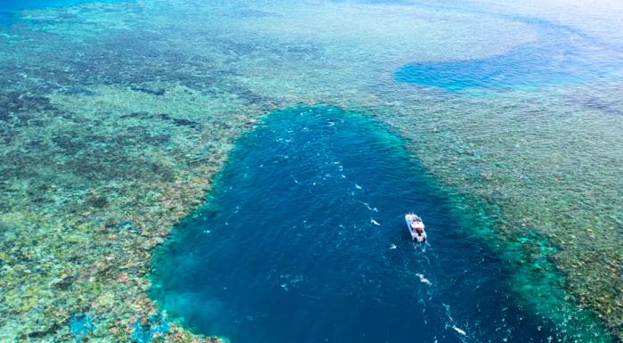 Coral at Stanley Reef, located about 83 miles (133 kilometers) off Townsville in Queensland, is showing signs of bleaching due to rising ocean temperatures.