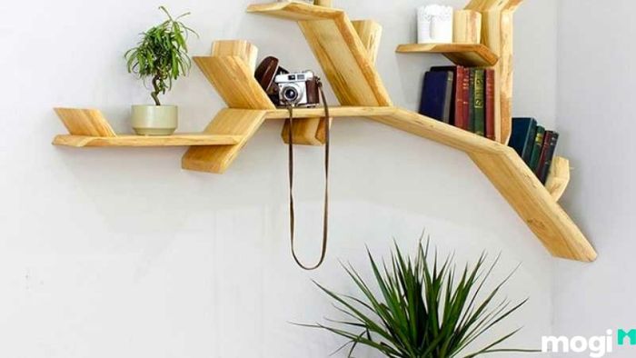 Sắp Xếp Sách Đơn Giản Nhưng Đầy Sáng Tạo