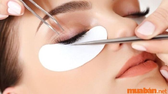 Nối mi là dịch vụ làm đẹp được rất nhiều người yêu thích và được gọi là
