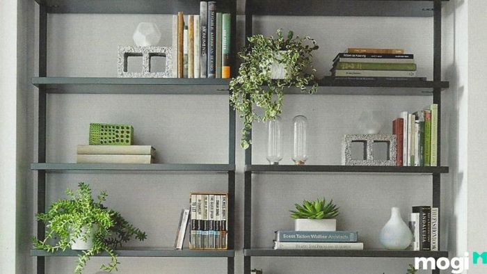 Sắp Xếp Sách Đơn Giản Và Tinh Tế
