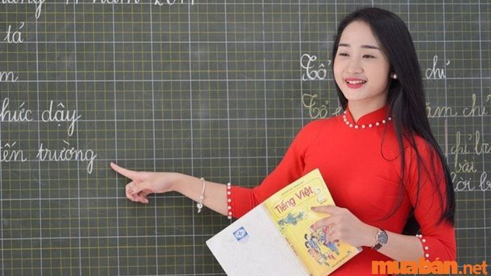 Công việc giáo viên rất phù hợp với con gái.