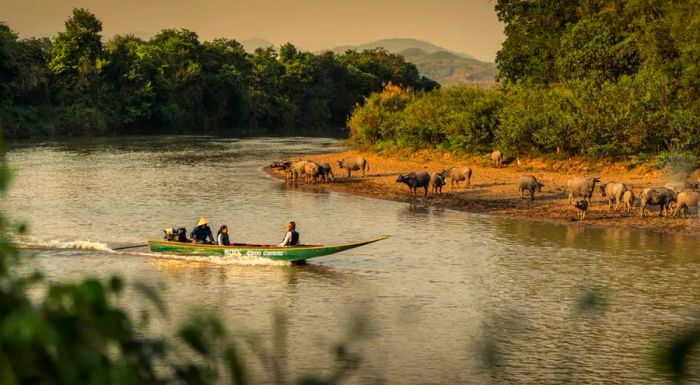 While guests can arrive by road, there's no comparison to the adventure of traveling up the Mekong River aboard a traditional Thai boat – it’s far more exhilarating.