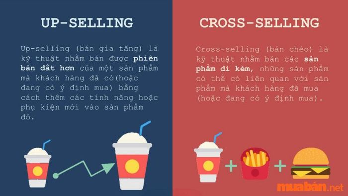 Chiến thuật chốt đơn Cross sell và Up sell