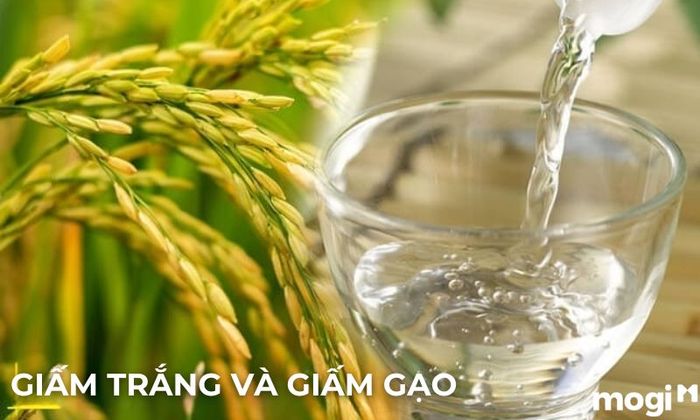 Phương pháp đuổi ruồi hiệu quả với giấm ăn