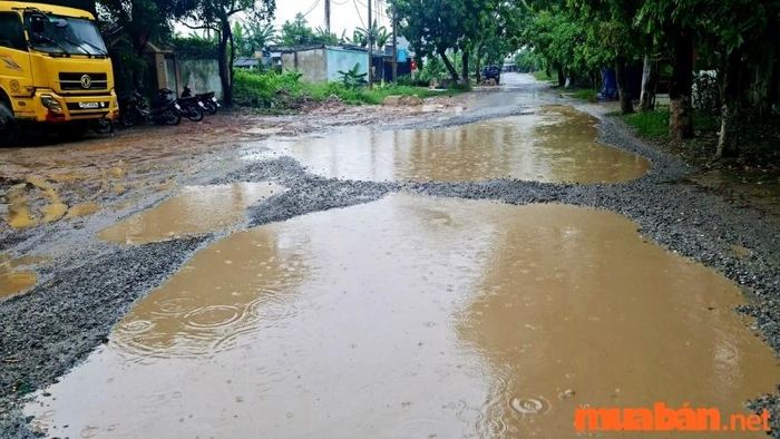 Các yếu tố gây tai nạn giao thông