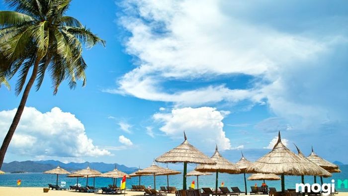 Khi du lịch đảo Hòn Mun, bạn có thể tham gia những trò chơi gì?
