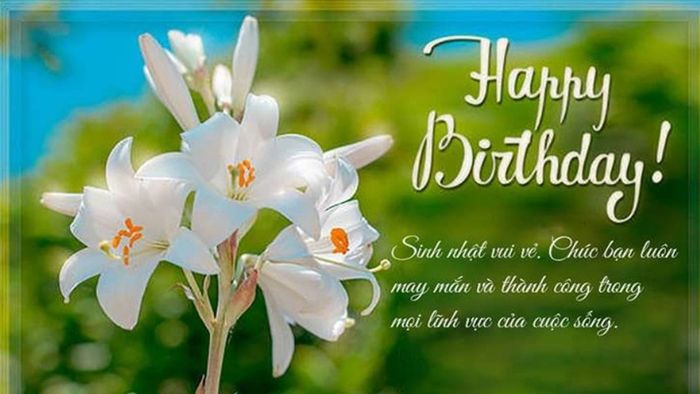 Thiệp sinh nhật với chủ đề thiên nhiên tươi mới
