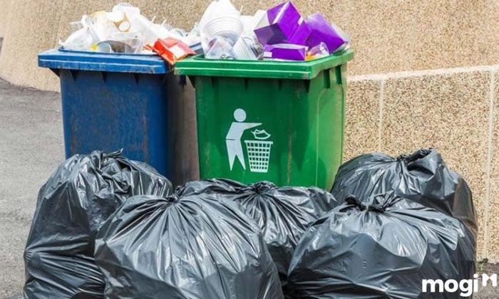 Rác Thải Sinh Hoạt Là Nguyên Nhân Thu Hút Ruồi