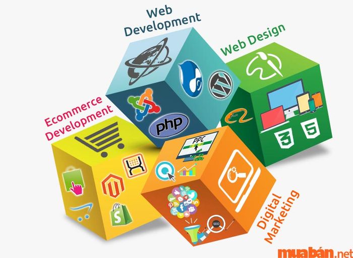 Nhân viên Digital Marketing cần nắm vững một số kiến thức công nghệ cơ bản