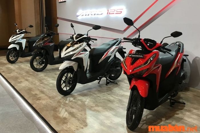 Vario màu nào nổi bật nhất?