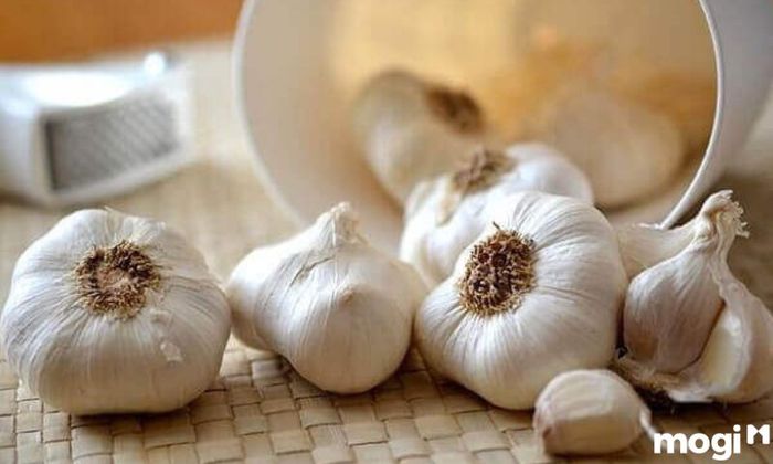 Cách đuổi ruồi hiệu quả với tỏi