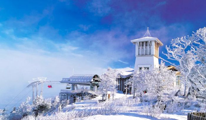 Yongpyong's lodge played a significant role as a filming location in the famous South Korean TV drama 'Winter Sonata.'