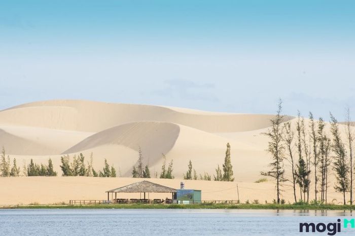 Đồi Cát Trắng Mũi Né là điểm đến được rất nhiều du khách trong và ngoài nước yêu thích, với những trải nghiệm độc đáo giữa thiên nhiên hoang sơ.
