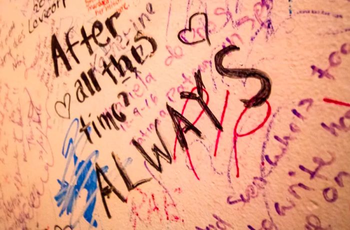 The Elephant House bathrooms are covered in Potter-inspired graffiti, adding to the cafe's magical charm.