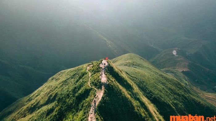 Kinh nghiệm du lịch Tà Xùa - Khám phá sống lưng khủng long ở Háng Đồng
