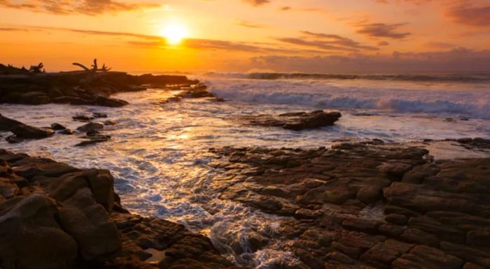 Discover the rock pools as the sun sets.