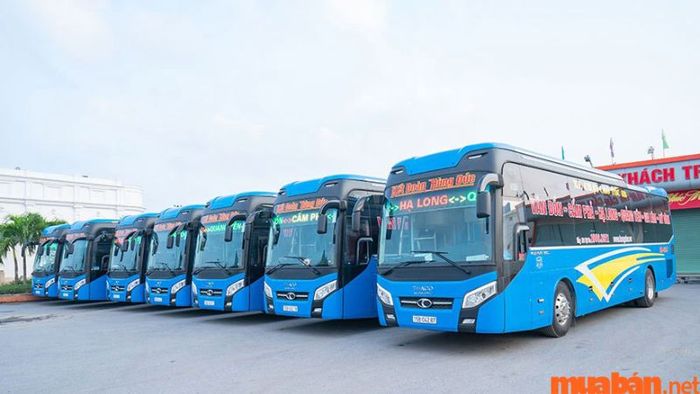 Kinh nghiệm di chuyển đến Tà Xùa bằng phương tiện công cộng