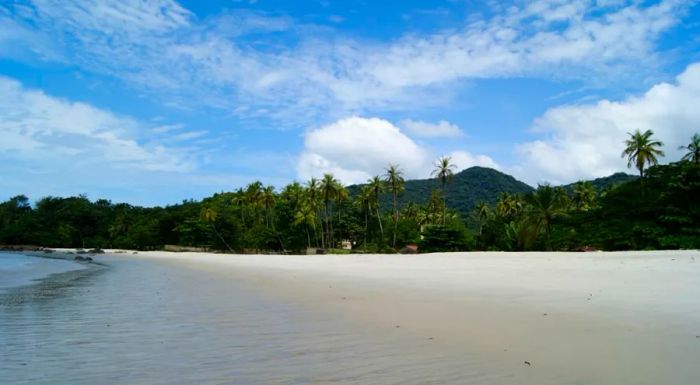 Solitude by the shore, where the sand stretches in tranquil isolation.