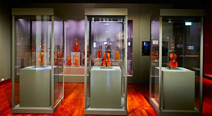 The museum’s violin collection is an attraction in itself, drawing visitors from all over.